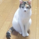 今月の復興支援