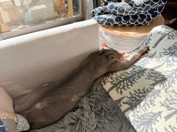 寝相がひどい、ひどすぎる(๑¯◡¯๑)