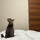 お布団の取り合い