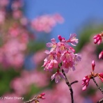 Nori-sukeの写真散歩