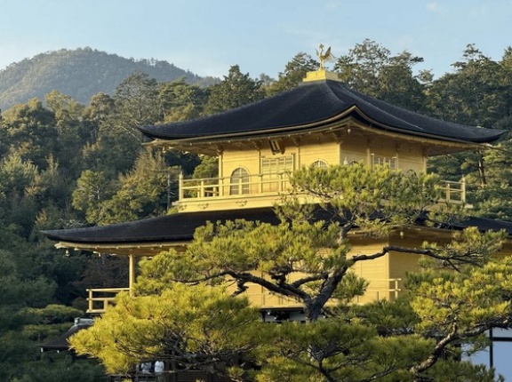 海外「初めての海外1人旅で日本に行ってきた！」日本1人旅に対する海外の反応
