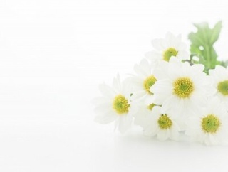 神田沙也加さん事務所　転落原因は「公表を控えたく」【文面全文】葬儀報告