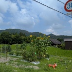 気ままに・・ひとりごと
