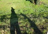 足跡 Tv番組から思ったこと 一緒に歩こう