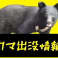 【青森】「洗車中、背後にいた」三沢駅南側や住宅地でクマ目撃相次ぐ　同一個体か