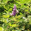 愛は永遠性をもっています