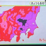 ぽぽちゃんのどりーむずかむとぅるー♪