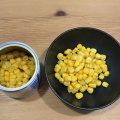 NASA(アメリカ航空宇宙局)の宇宙食　まとめ フリーズドライ食品①