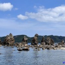 和歌山のご当地そんぐ・その３（串本育ち・串本節）