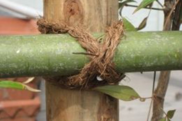 疲れて 夕方まで爆睡 内山信八酒店 ブログ 疲れて 夕方まで爆睡 内山信八酒店 ブログ