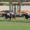 【競馬】秋華賞は戸崎騎乗のモンローウォークがV　ギャラボーグ2着