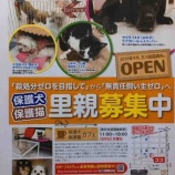 『東京支部の近況』の画像