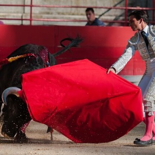 ◆S教授！次はどの株買えば良いですか！？◆