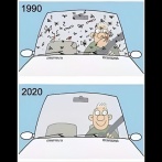 「最近は車のフロントガラスに虫がつかなくなった」←実はこれかなりヤバイ事態かもしれない・・・