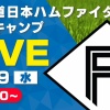 【実況】ファイターズ春季キャンプLIVE2025（2月19日）10:00〜