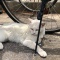 自転車の陰…