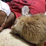 『お父さんと一緒　2020/06/30』の画像