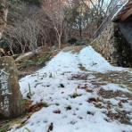 山﨑鳥類研究所（鳥肉を美味しくいただく研究所）