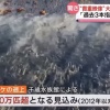 北海道で大量の鮭が遡上「過去3本の指に入るレベル」