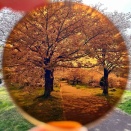 調光レンズNEWカラー「キャメル」＆「ローズ」