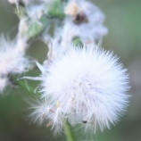 『回顧2015-2020(4200回記念)(5)』の画像