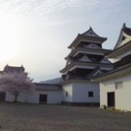 Dandy's Rock'n' Roll Blog