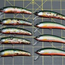 2026 芦ノ湖ペアマッチ大会ミノー