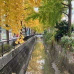 ブルースバカ一代