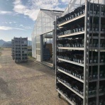 yuika～結花～Hanayoshiの毎日