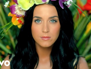 Katy Perry「Roar」