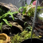 かるかんタイムズ