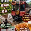 【2026年デビュー】南海新観光列車「GRAN天空」に乗ってみた！高野山から難波へ絶景の旅