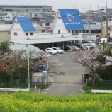 『４月最初の週末へ向けた準備が整っています』の画像