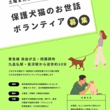 『【土曜日と日曜日】お世話ボランティアさん大募集』の画像