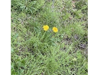 白黒つけたい心