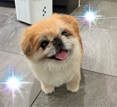 吹っ飛ぶ