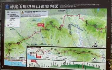 『心地よい痛み』の画像