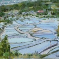 山梨車中泊棚田スケッチ旅・中野の棚田（油彩）