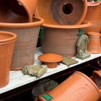 チップ・マリーへ ようこそ！