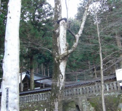 きれいに着飾っても健康でなければ生きていくのが辛くなる！