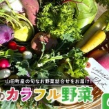 『ふるさと特産品 カラフルファムの旬のカラフル野菜』の画像