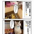 里親会＆石垣島からの贈り物！