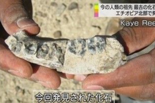 河合信和の人類学のブログ ホモ ハビリス 河合信和の人類学のブログ ホモ ハビリス