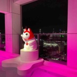 『SOAK渋谷』の画像