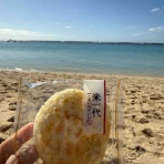 ハワイネコ ブログ