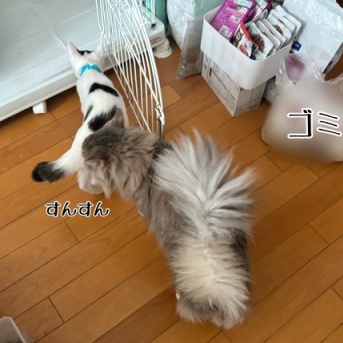 村尾と白駒という組み合わせ