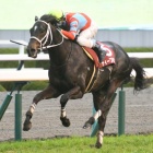 『【阪神大賞典結果】ディープボンドが5馬身差Vで重賞2勝目　アリストテレスは7着』の画像
