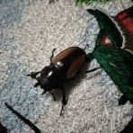 sagyouin2のblog
