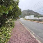 小笠原父島　オガツアーのブログ３