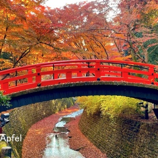 スイスの街角から